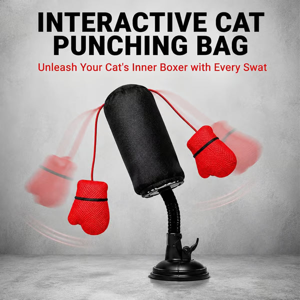 🎁Last Day Promotion 49% OFF🔥Interactive Cat Punching Bag Toy