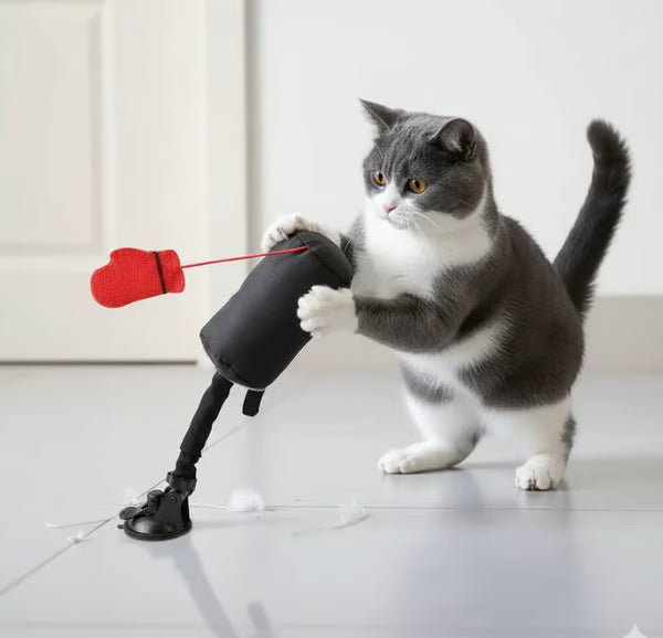 🎁Last Day Promotion 49% OFF🔥Interactive Cat Punching Bag Toy