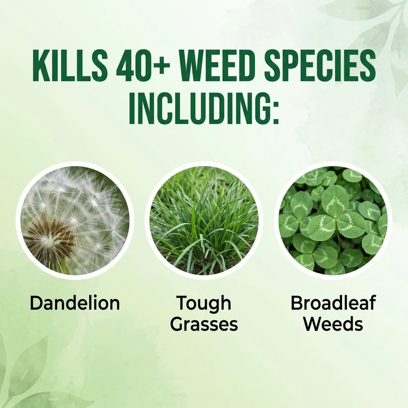 🔥Advanced 2-in-1 Pro+ Herbicide | Upgraded Formula for 6-Hour Rapid Kill, Root Eradication & Destroys Glyphosate-Resistant Weeds