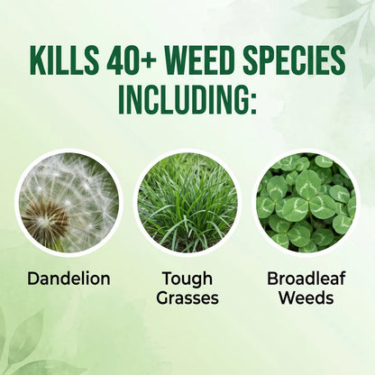 🔥Advanced 2-in-1 Pro+ Herbicide | Upgraded Formula for 6-Hour Rapid Kill, Root Eradication & Destroys Glyphosate-Resistant Weeds